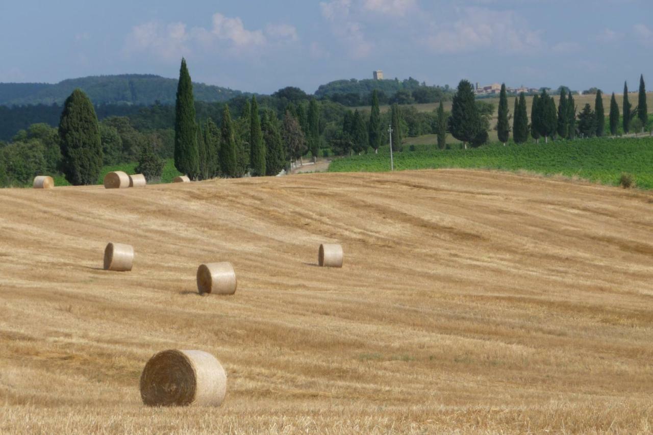 Poggio Ai Gelsi Villa Pienza Exteriör bild