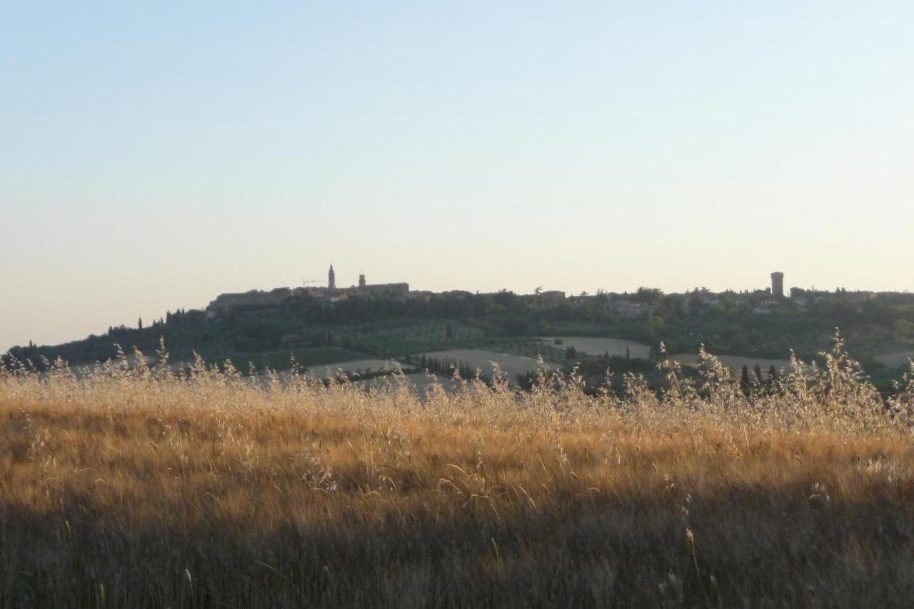 Poggio Ai Gelsi Villa Pienza Exteriör bild